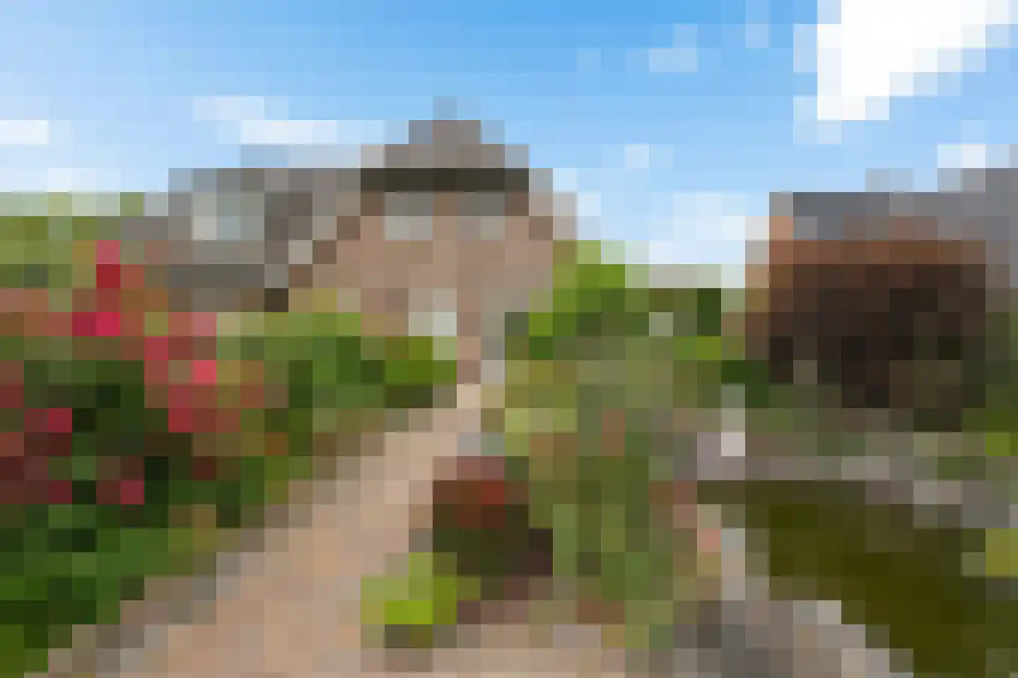 Zwarteweg 104 Nieuw-Amsterdam thumbnail 43