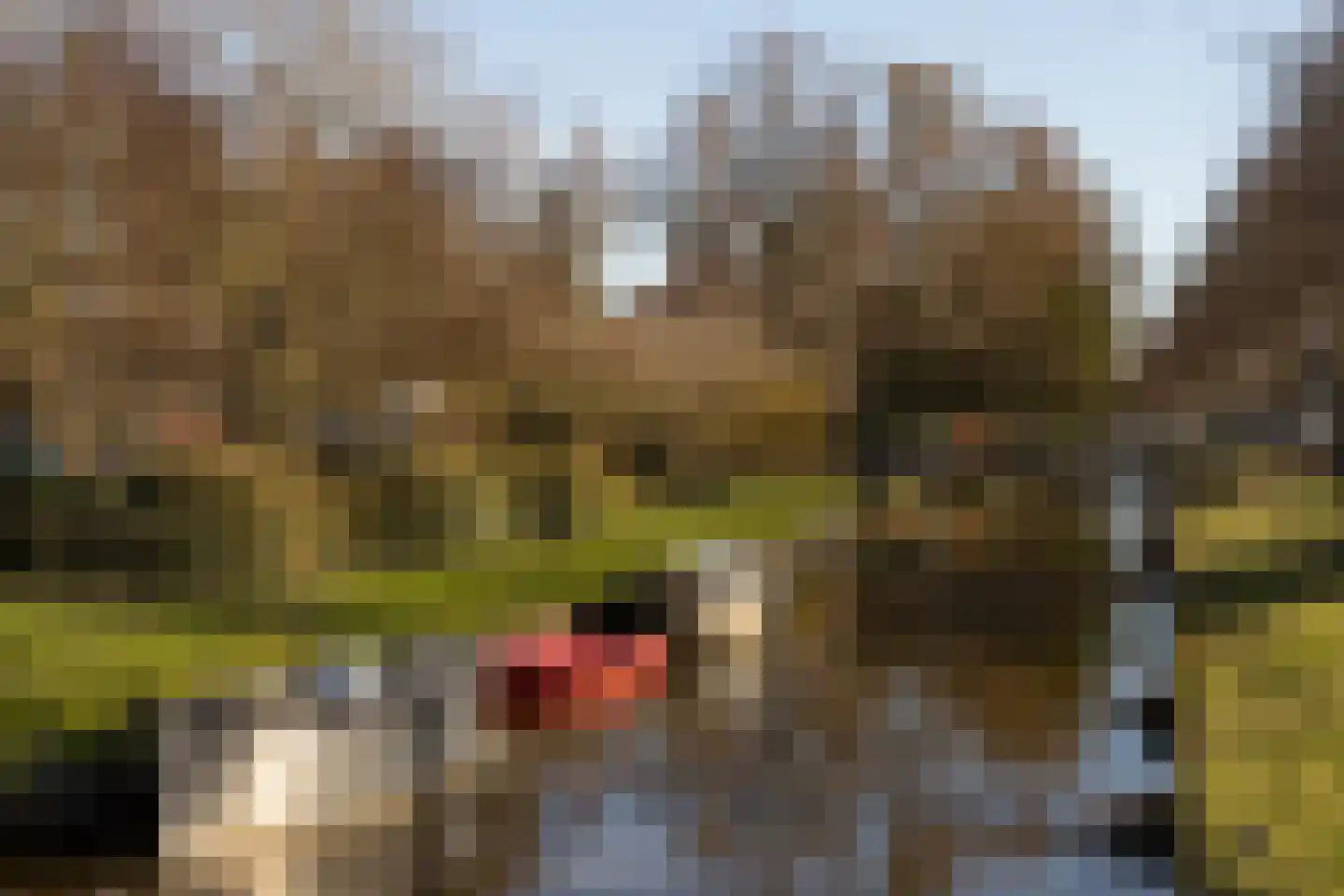Zwarteweg 11 a Bennebroek thumbnail 24