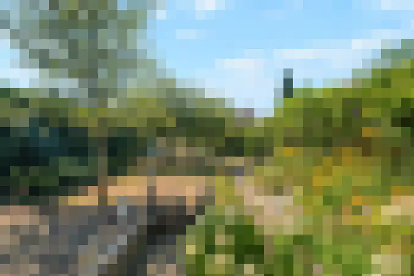Zwarteweg 11 b 't Veld thumbnail 23
