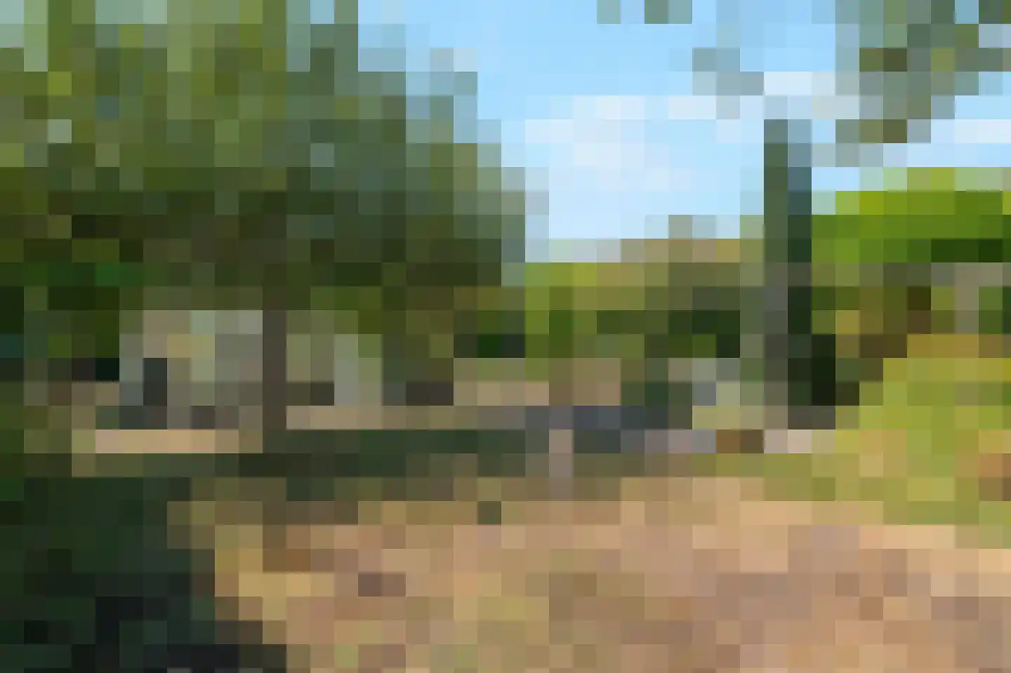 Zwarteweg 11 b 't Veld thumbnail 24