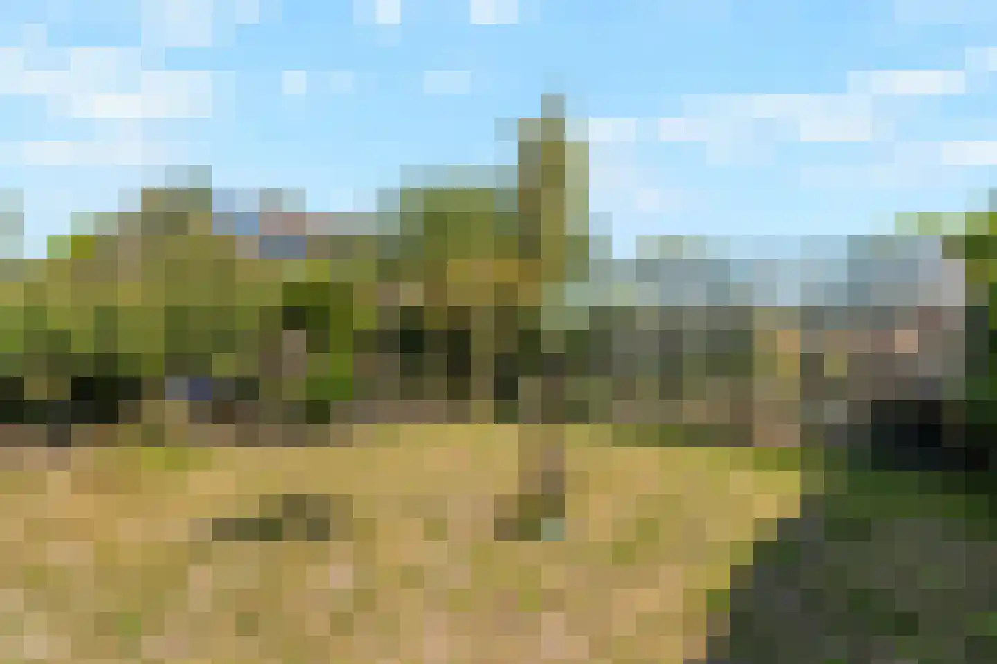 Zwarteweg 11 b 't Veld thumbnail 25