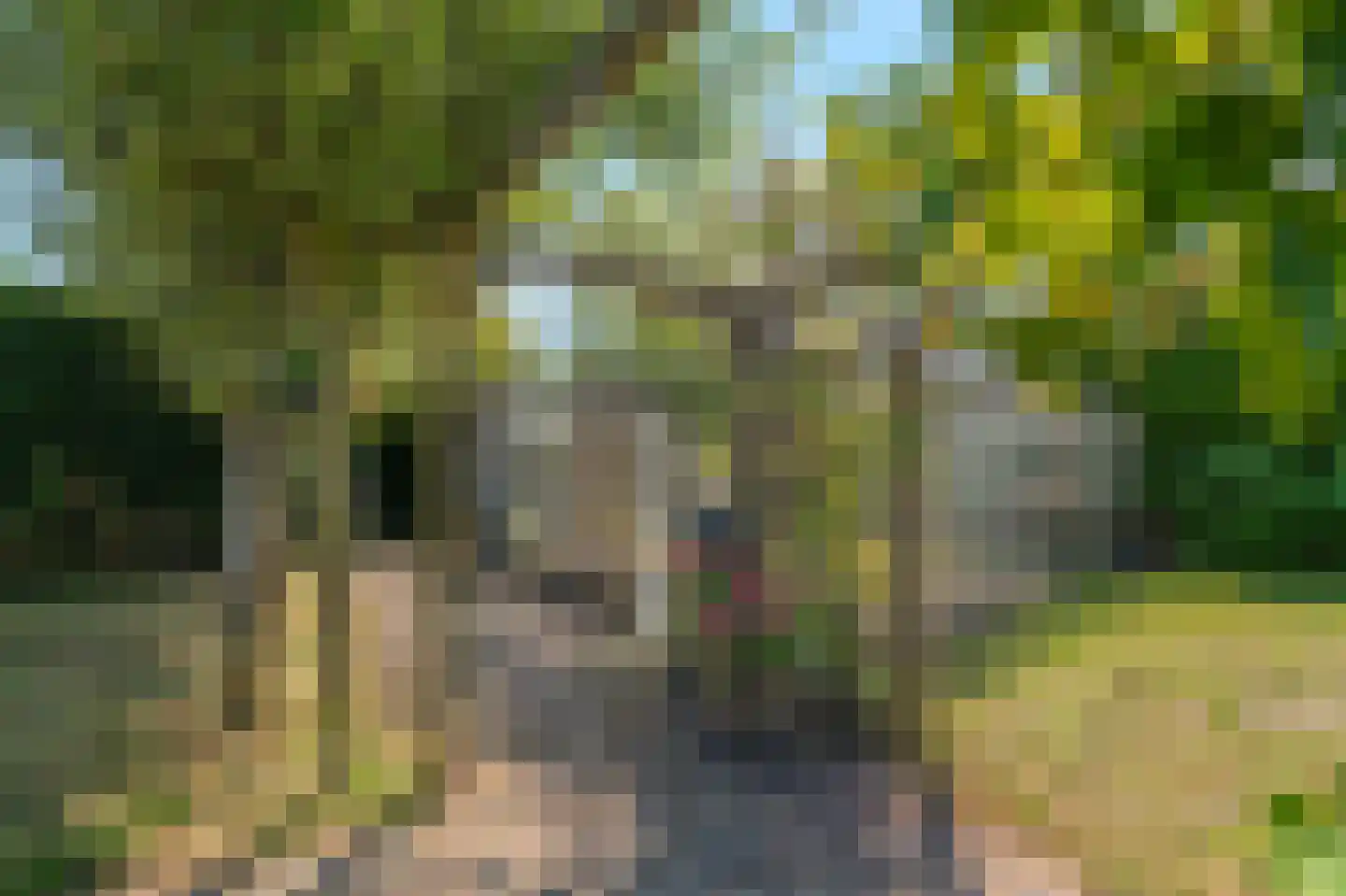 Zwarteweg 11 b 't Veld thumbnail 26