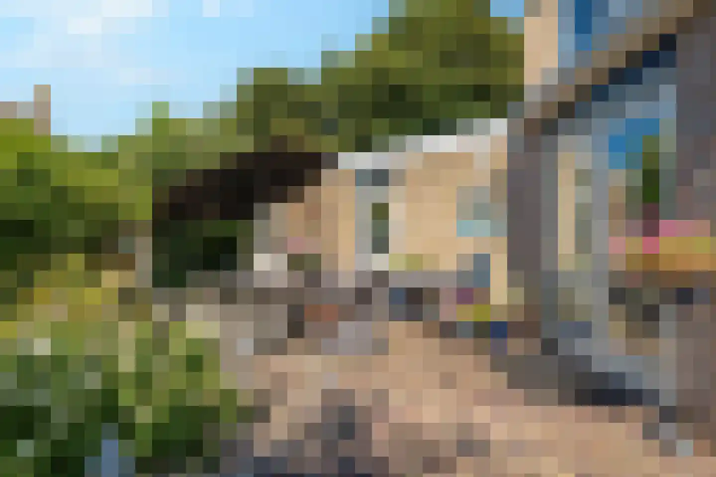 Zwarteweg 11 b 't Veld thumbnail 27