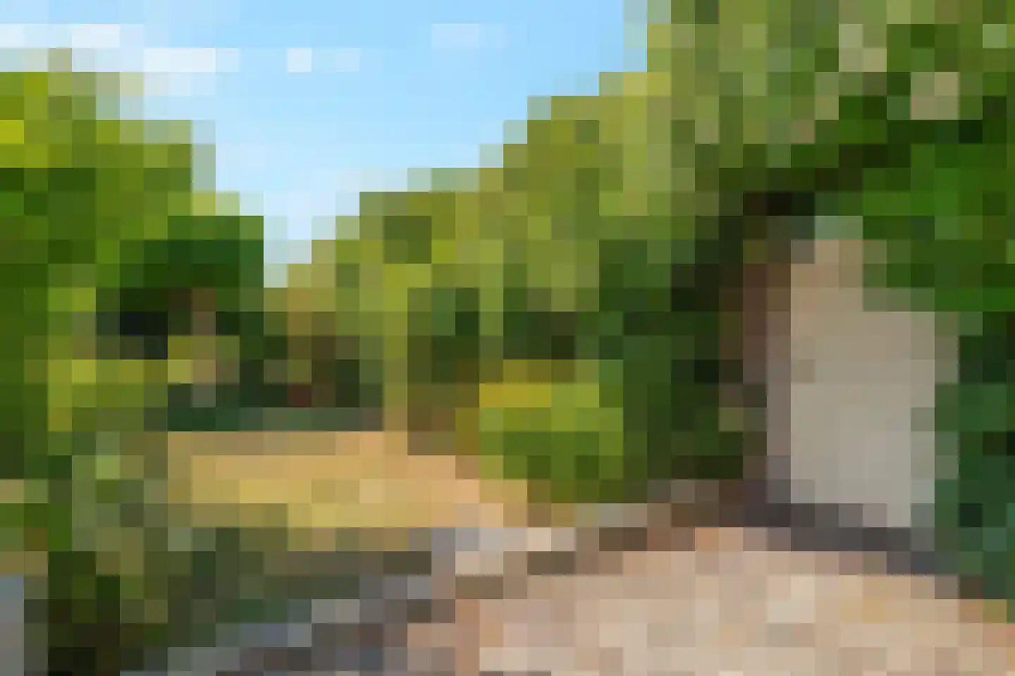 Zwarteweg 11 b 't Veld thumbnail 28