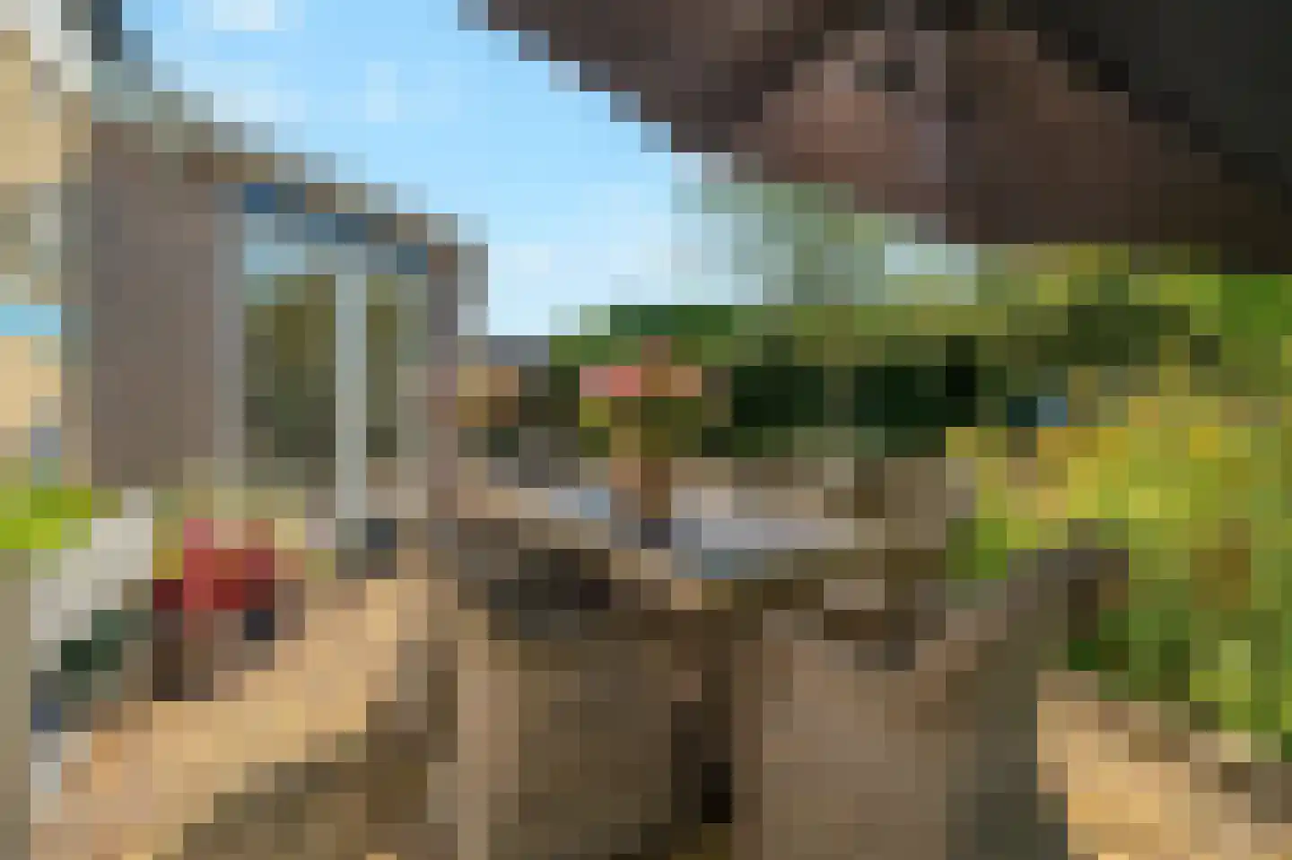 Zwarteweg 11 b 't Veld thumbnail 29