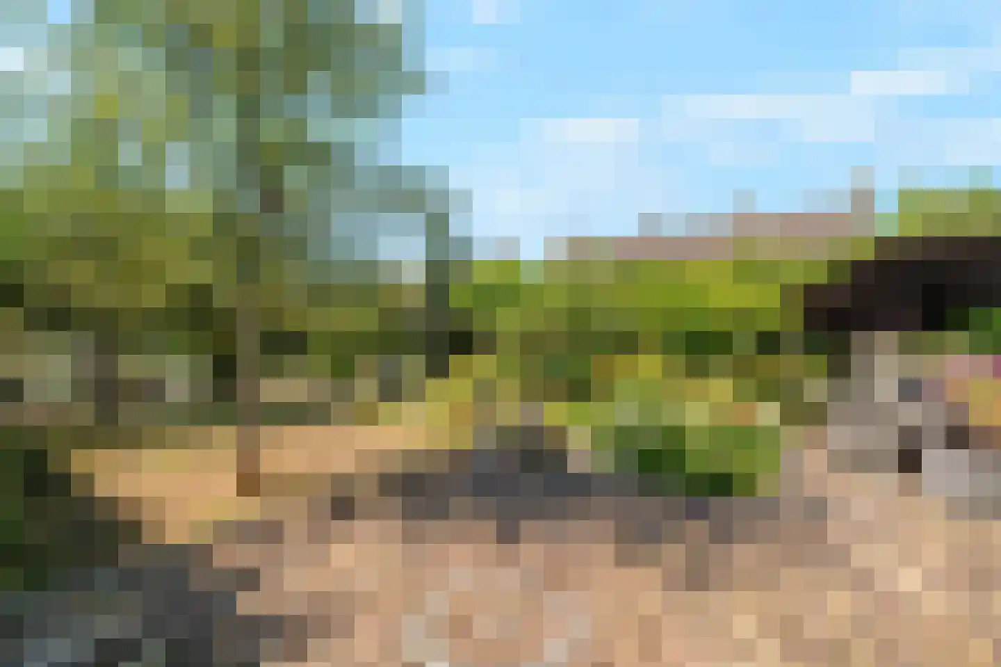 Zwarteweg 11 b 't Veld thumbnail 30