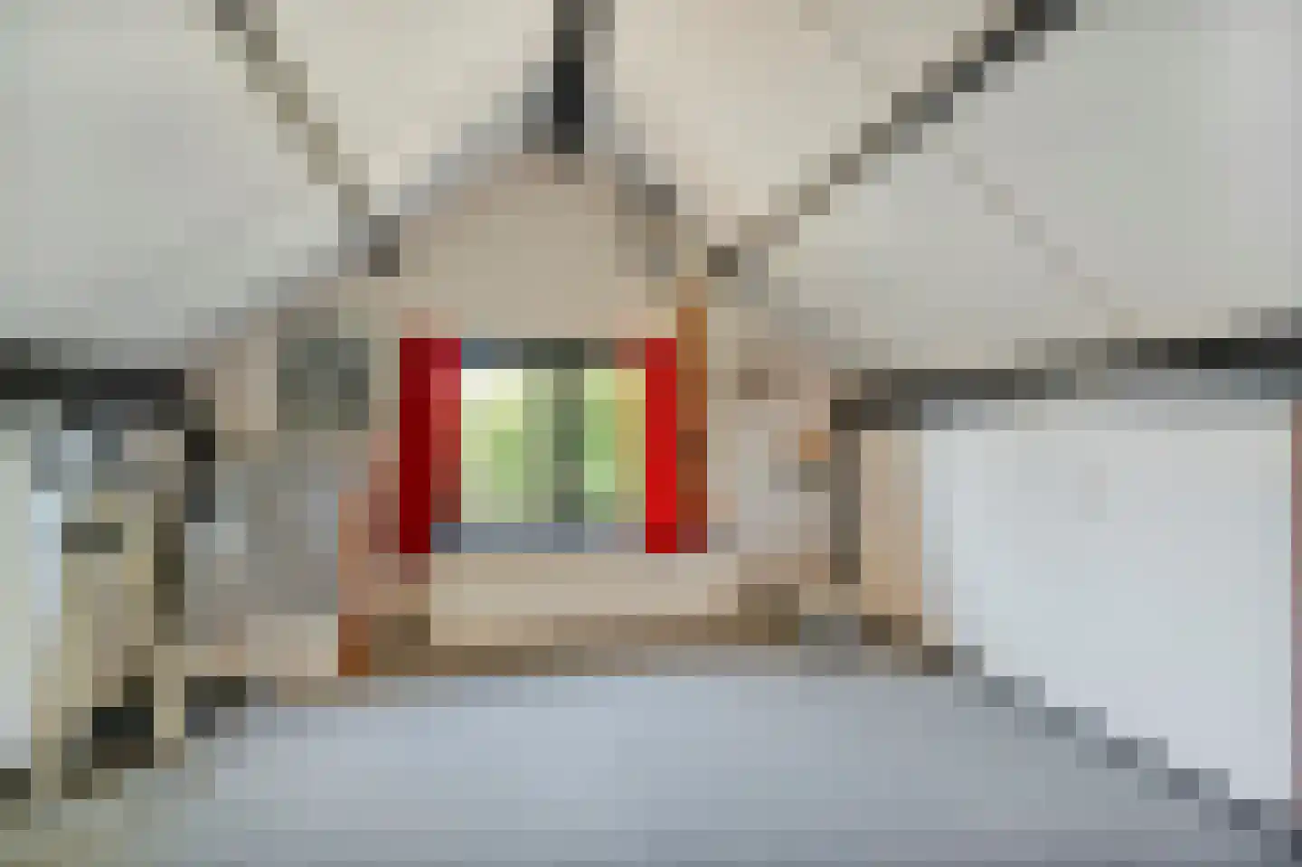 Zwarteweg 11 b 't Veld thumbnail 44