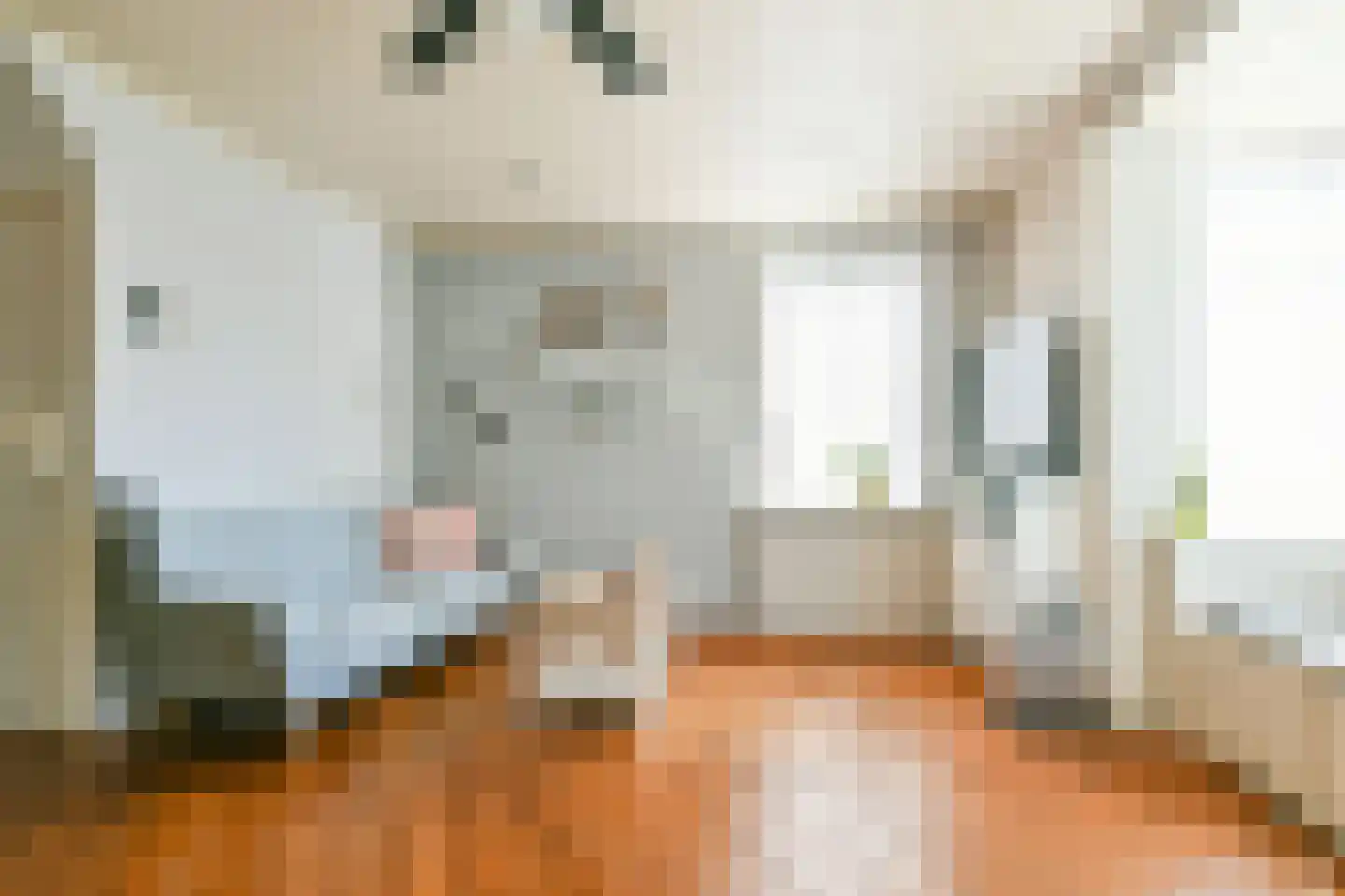 Zwarteweg 11 Vijfhuizen thumbnail 10