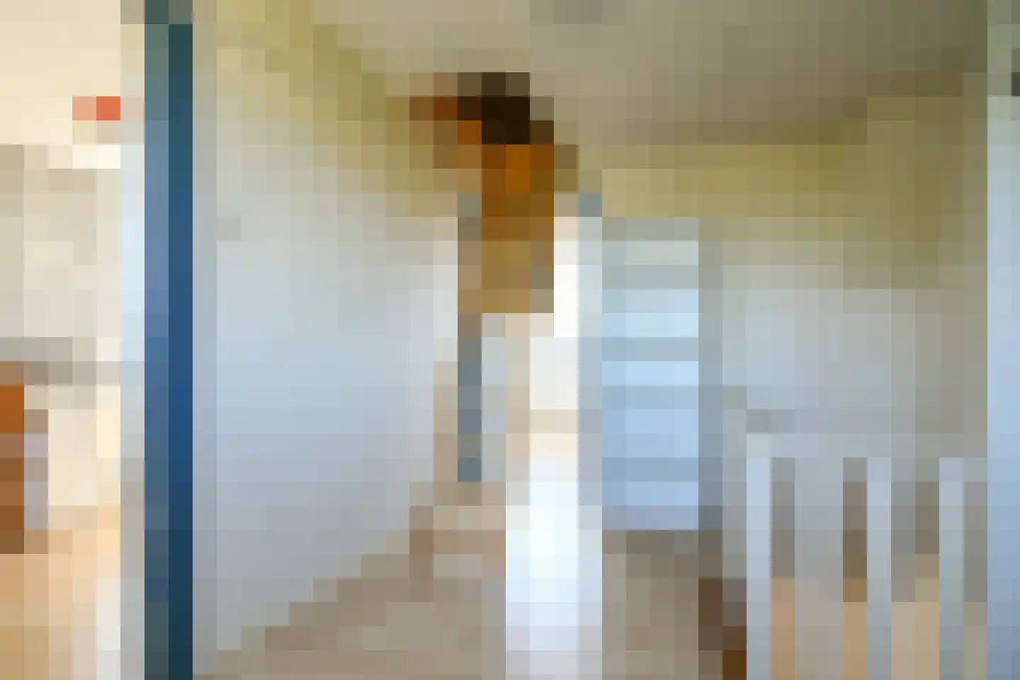 Zwarteweg 11 Vijfhuizen thumbnail 25