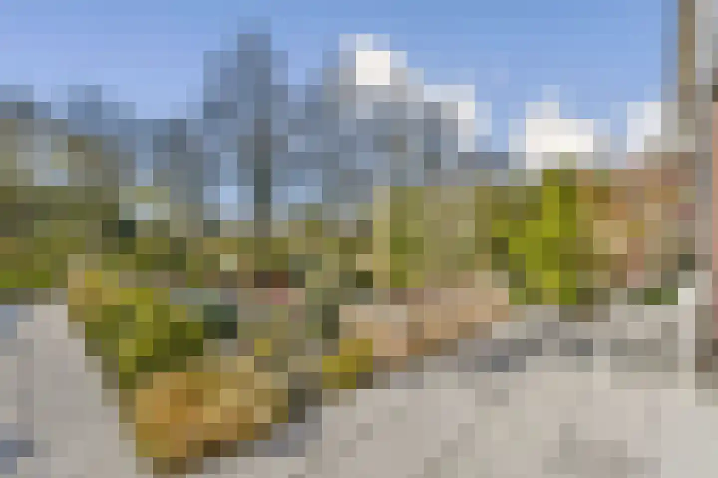 Zwarteweg 111 Aalsmeer thumbnail 4