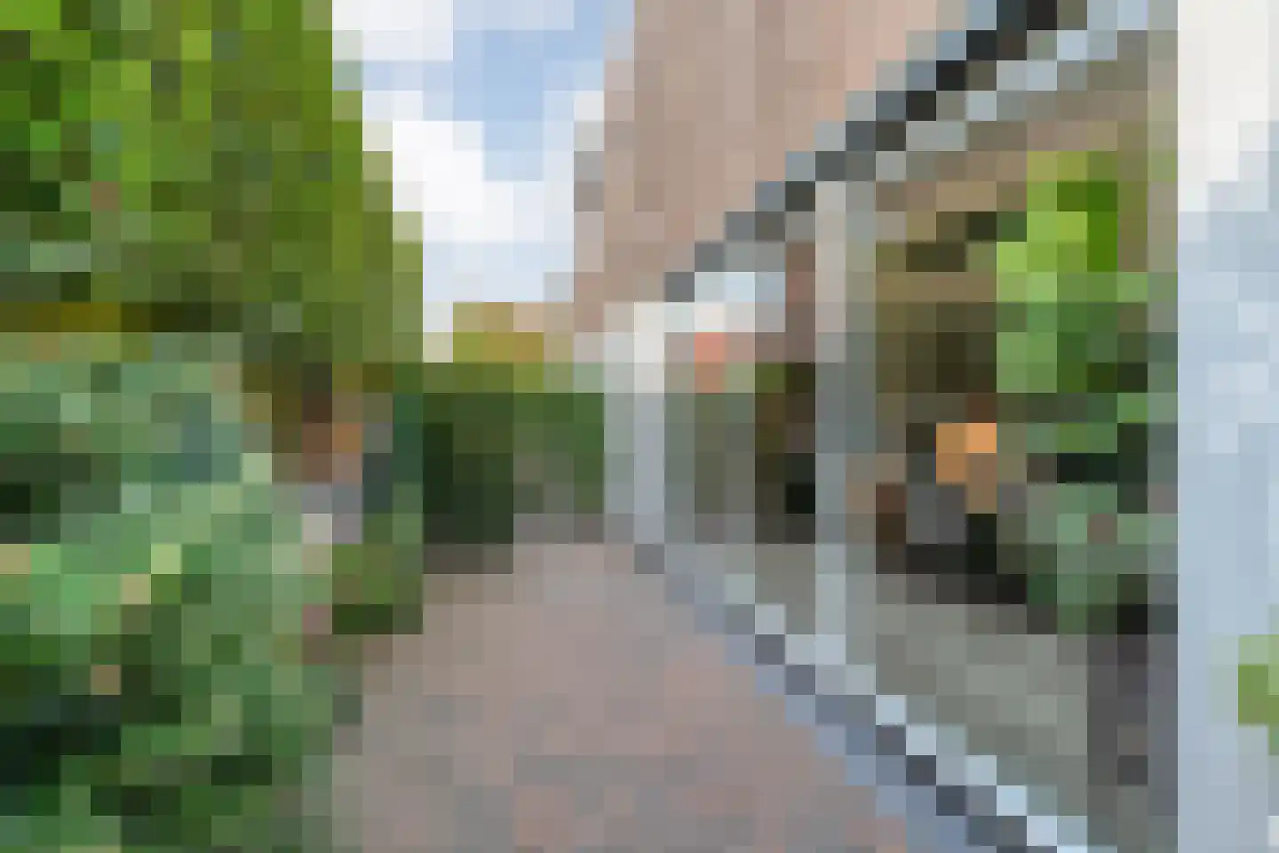 Zwarteweg 111 Zwolle thumbnail 31