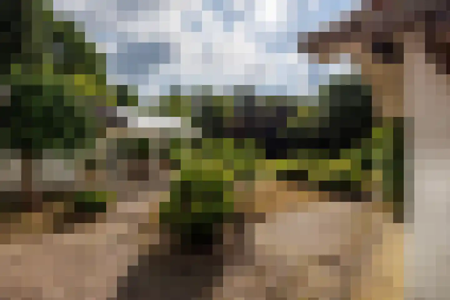 Zwarteweg 12 Milsbeek thumbnail 39