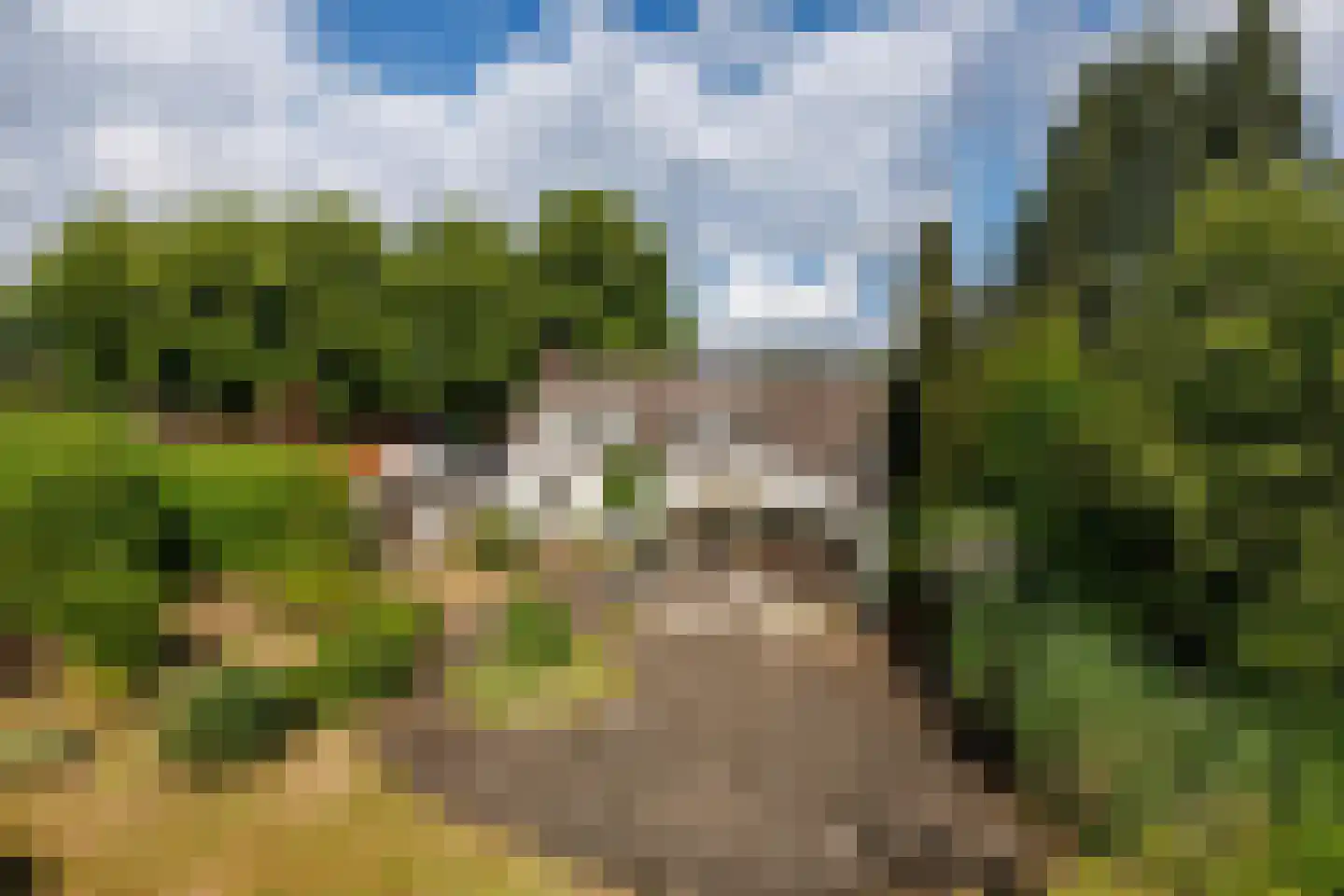 Zwarteweg 12 Milsbeek thumbnail 41
