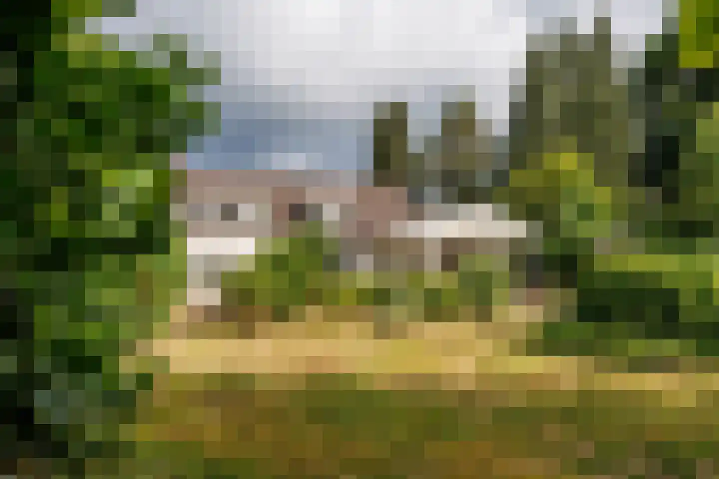 Zwarteweg 12 Milsbeek thumbnail 42