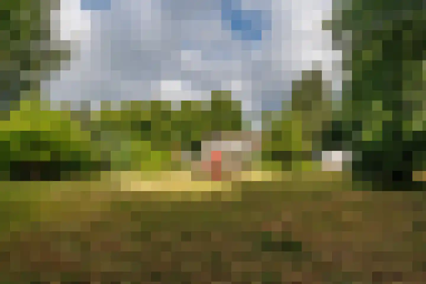 Zwarteweg 12 Milsbeek thumbnail 43