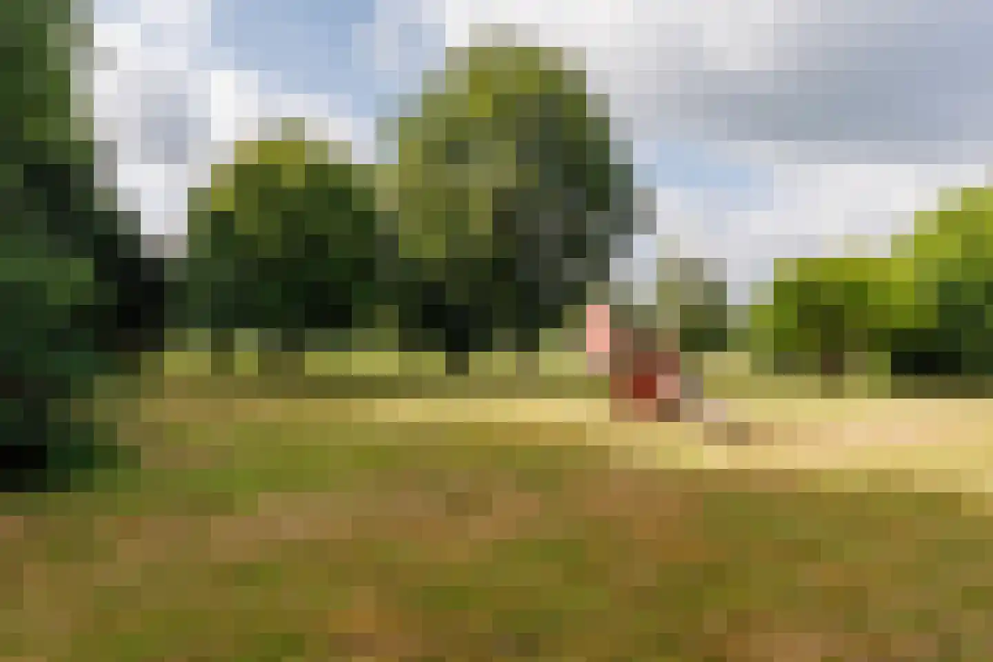 Zwarteweg 12 Milsbeek thumbnail 44