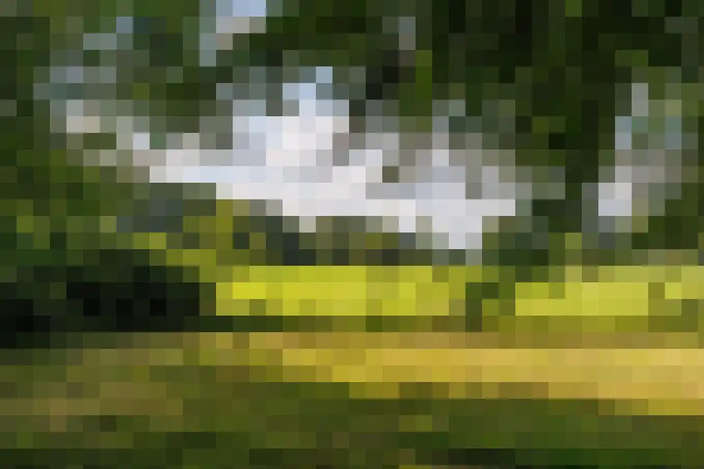 Zwarteweg 12 Milsbeek thumbnail 45