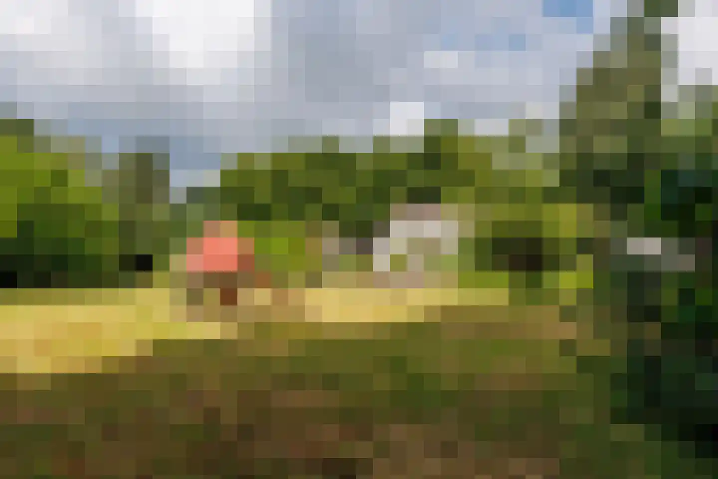 Zwarteweg 12 Milsbeek thumbnail 46