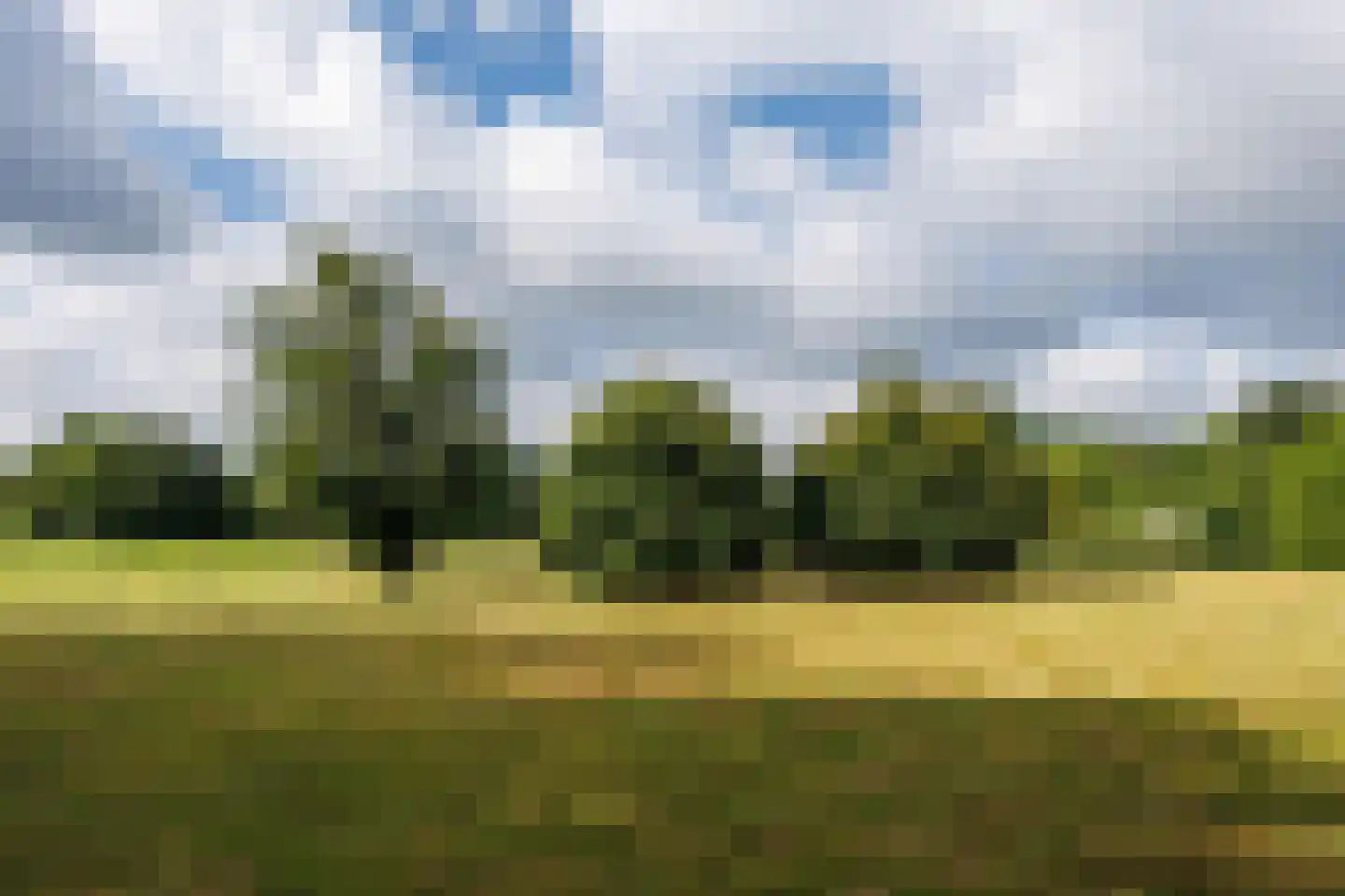 Zwarteweg 12 Milsbeek thumbnail 47