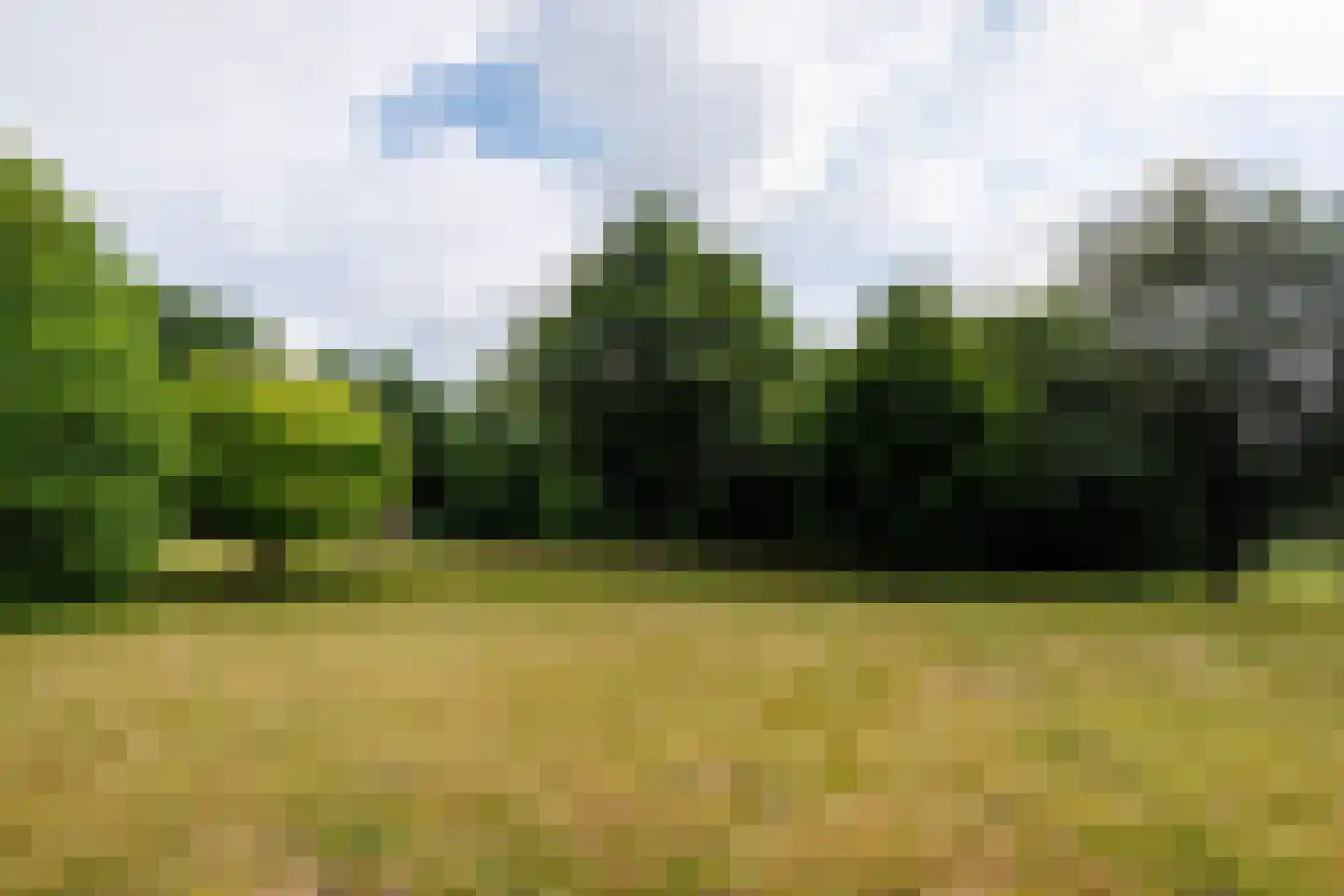 Zwarteweg 12 Milsbeek thumbnail 48