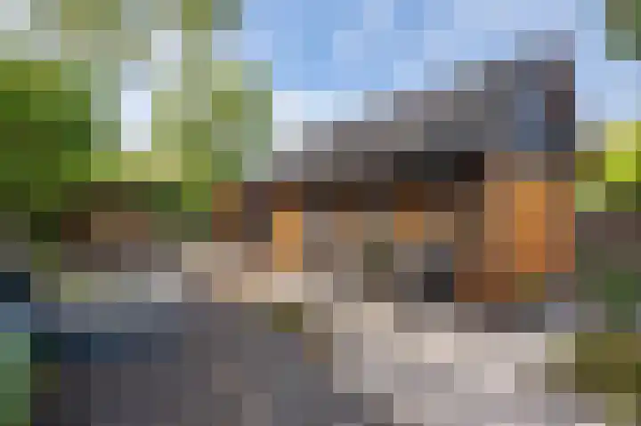 Zwarteweg 13 Apeldoorn thumbnail 34