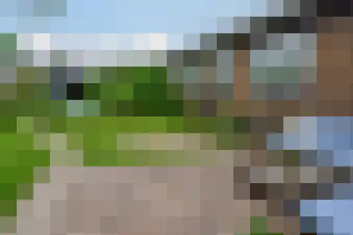 Zwarteweg 131 Aalsmeer thumbnail 27