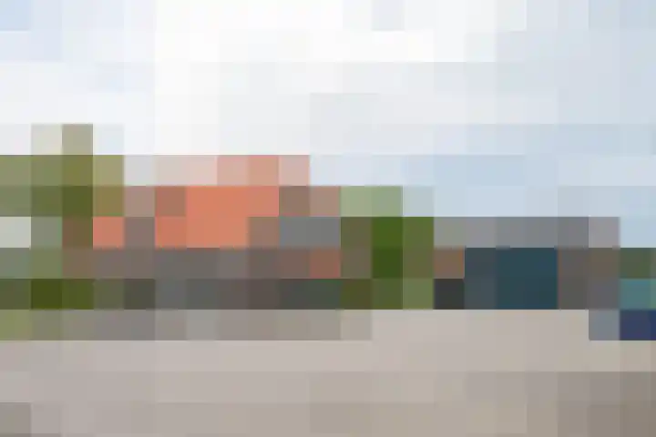Zwarteweg 15 Beltrum thumbnail 11