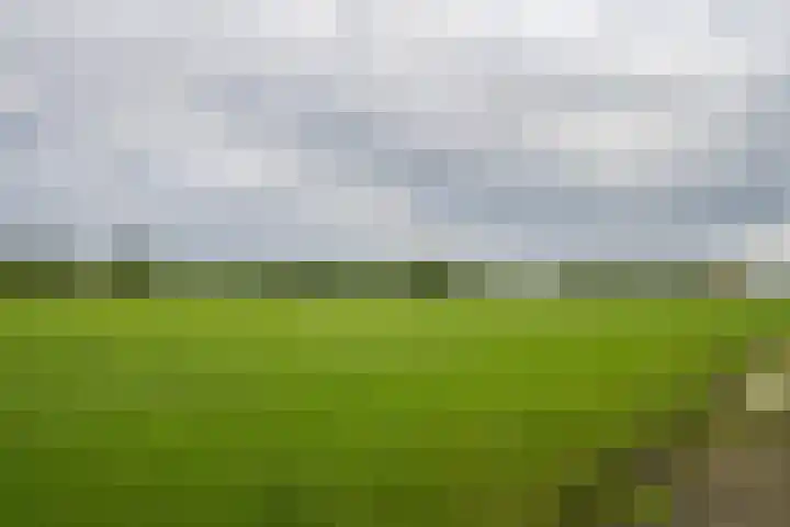Zwarteweg 15 Beltrum thumbnail 38