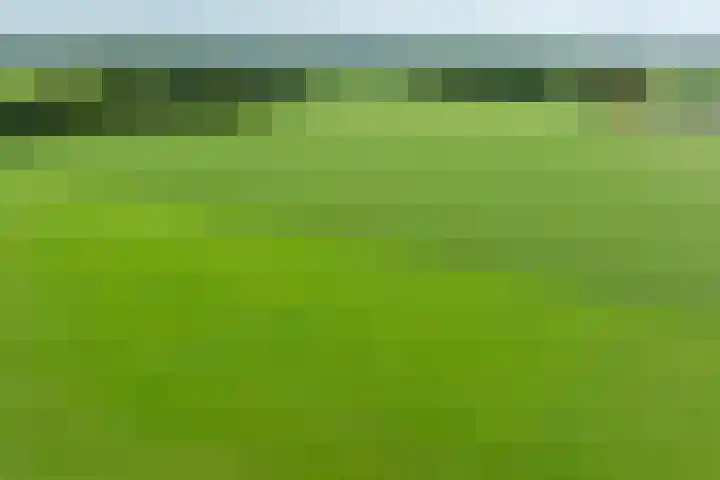 Zwarteweg 15 Beltrum thumbnail 39