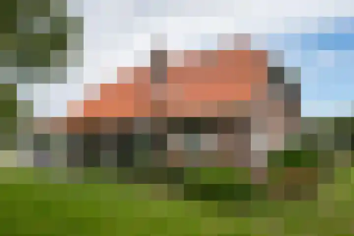 Zwarteweg 15 Beltrum thumbnail 4