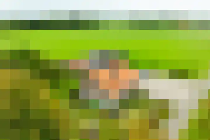 Zwarteweg 15 Beltrum thumbnail 42