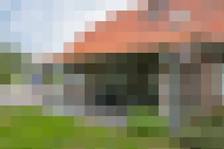 Zwarteweg 15 Beltrum thumbnail 5