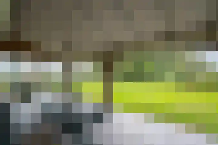 Zwarteweg 15 Beltrum thumbnail 6