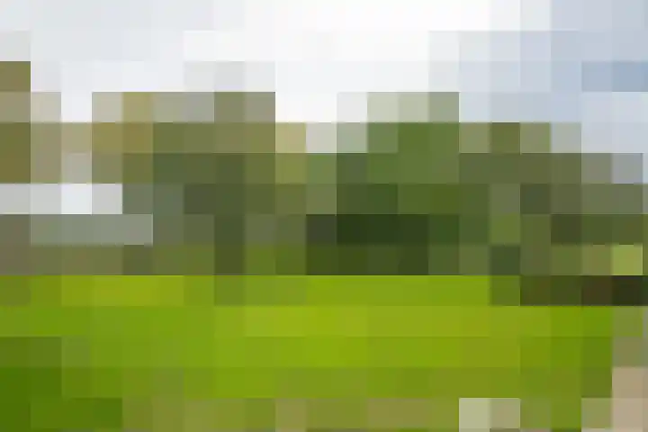 Zwarteweg 15 Beltrum thumbnail 7