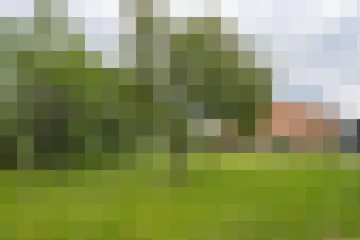 Zwarteweg 15 Beltrum thumbnail 8