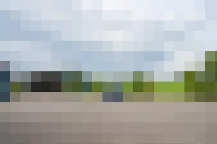 Zwarteweg 15 Beltrum thumbnail 9