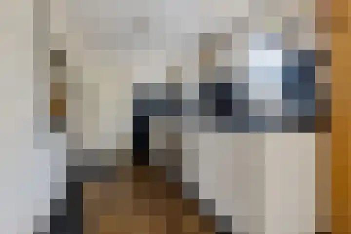 Zwarteweg 15 Spijk thumbnail 23