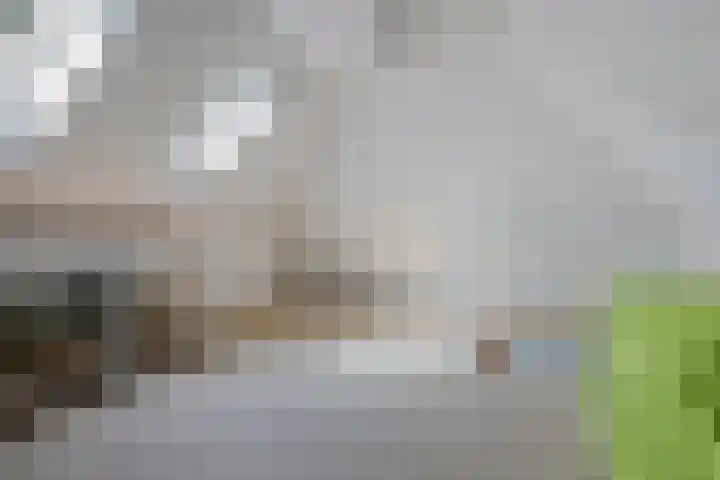 Zwarteweg 15 Spijk thumbnail 37
