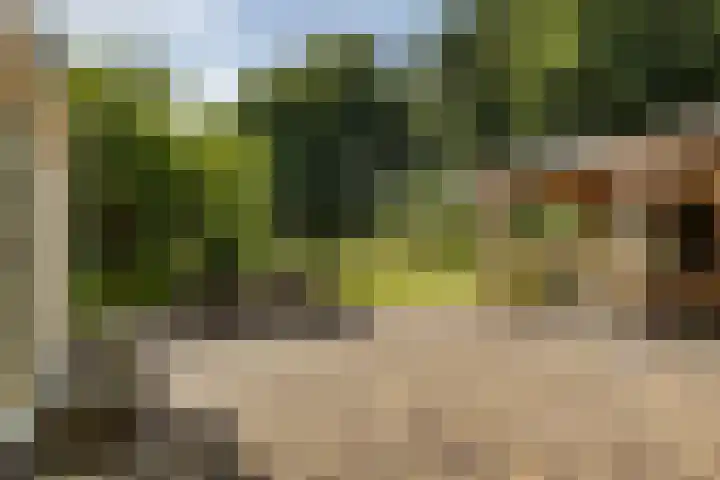 Zwarteweg 15 Spijk thumbnail 41
