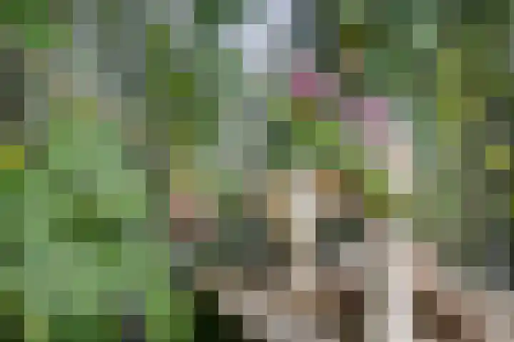 Zwarteweg 15 Spijk thumbnail 46