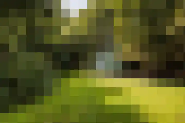 Zwarteweg 15 Spijk thumbnail 47