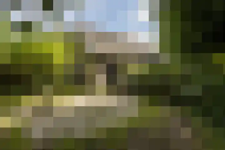 Zwarteweg 15 Spijk thumbnail 49