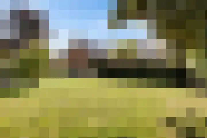 Zwarteweg 15 Spijk thumbnail 51