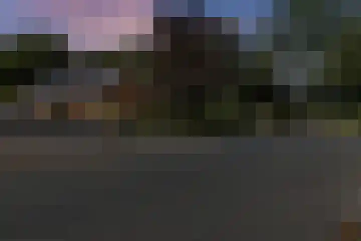 Zwarteweg 15 Spijk thumbnail 52