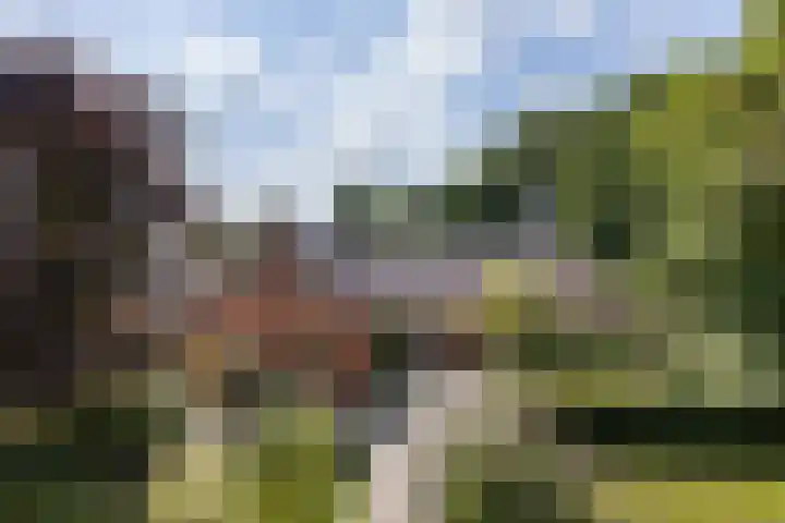 Zwarteweg 15 Spijk thumbnail 6