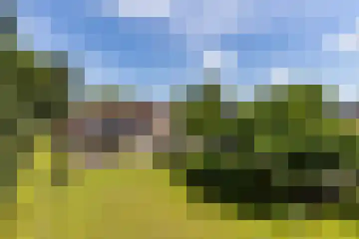 Zwarteweg 15 Spijk thumbnail 7
