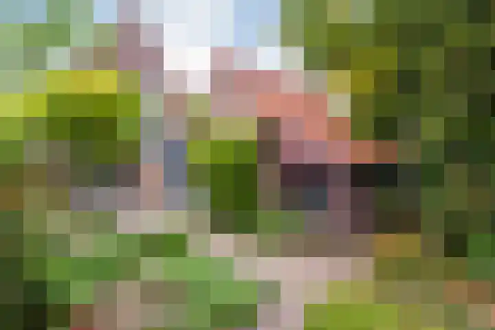 Zwarteweg 15 Zwolle thumbnail 30