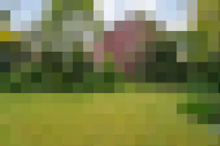 Zwarteweg 15 Zwolle thumbnail 32