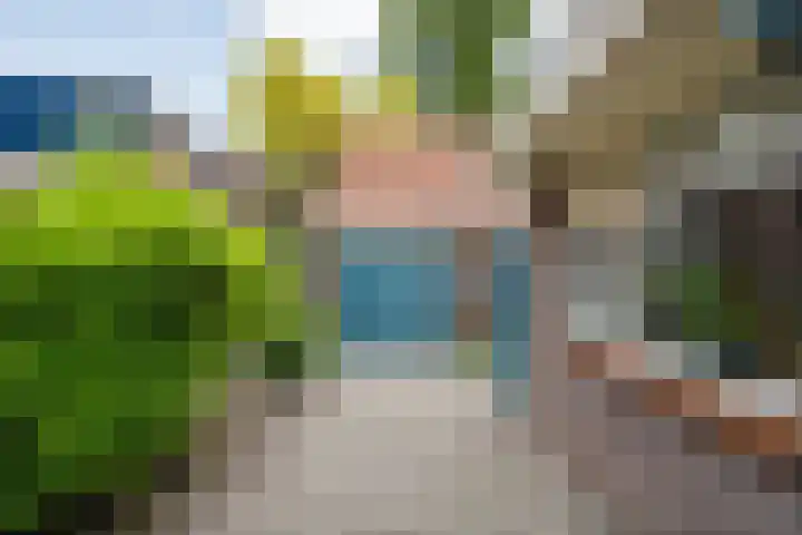 Zwarteweg 15 Zwolle thumbnail 4