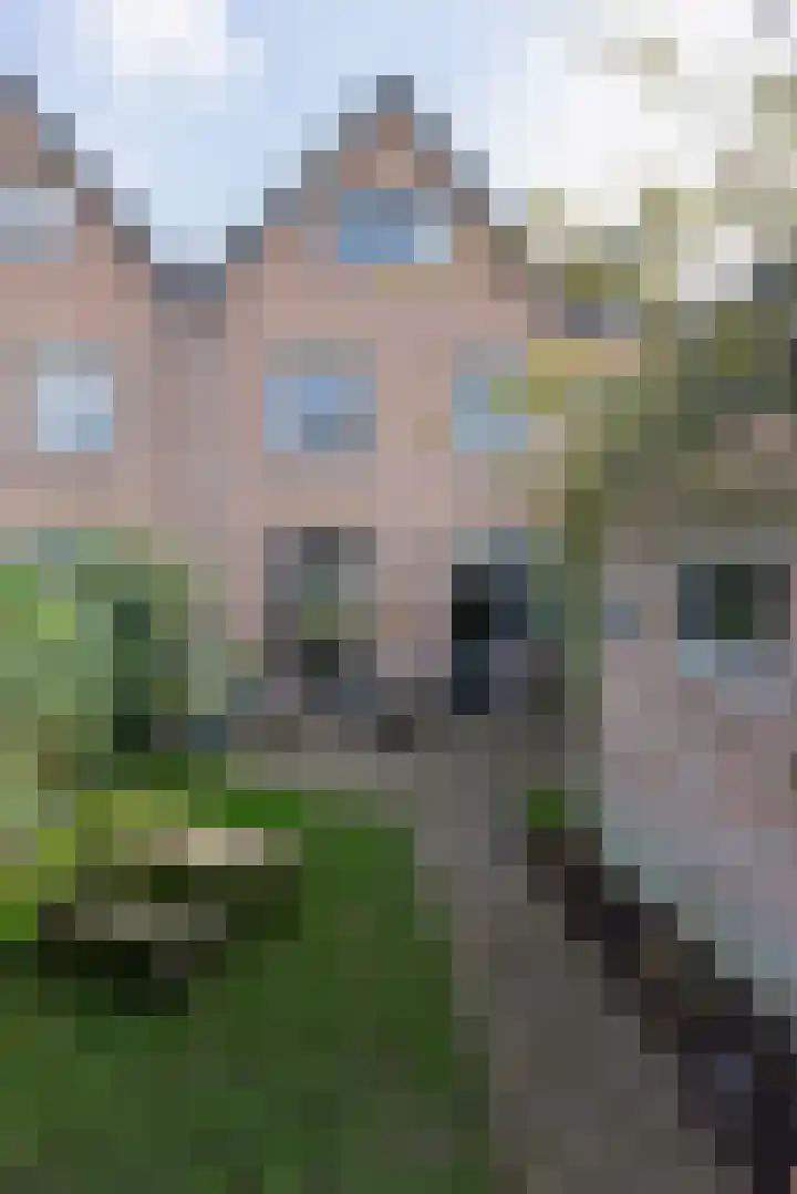 Zwarteweg 16 Naarden thumbnail 59